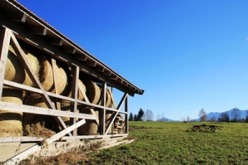 Vorsorge fr den Trennungs- und Todesfall