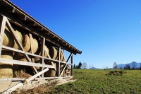 Vorsorge fr den Trennungs- und Todesfall