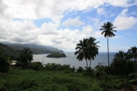  Inselkauf statt Eigentumswohnung