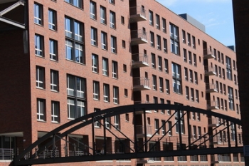 Steine im Goldrausch