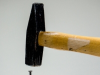 Die Eigentmer Gemeinschaft entscheidet