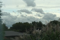 Die Versicherungspflicht des Wohnungseigentmers