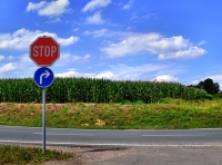 Der notarielle Kaufvertrag