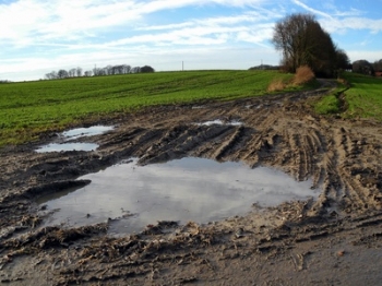 Bau von Eigentumswohnungen und Pflichtverletzungen des Bautrgers